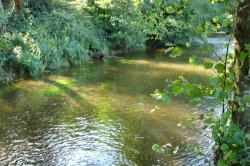 La Vallée du Ninian Bretagna - Taupont visuel 2/10