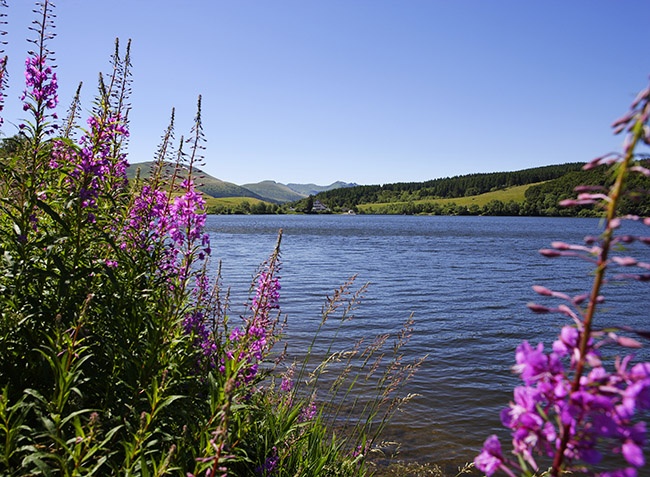 La Vallée Verte Alvernia - Saint-Nectaire visuel 7/7