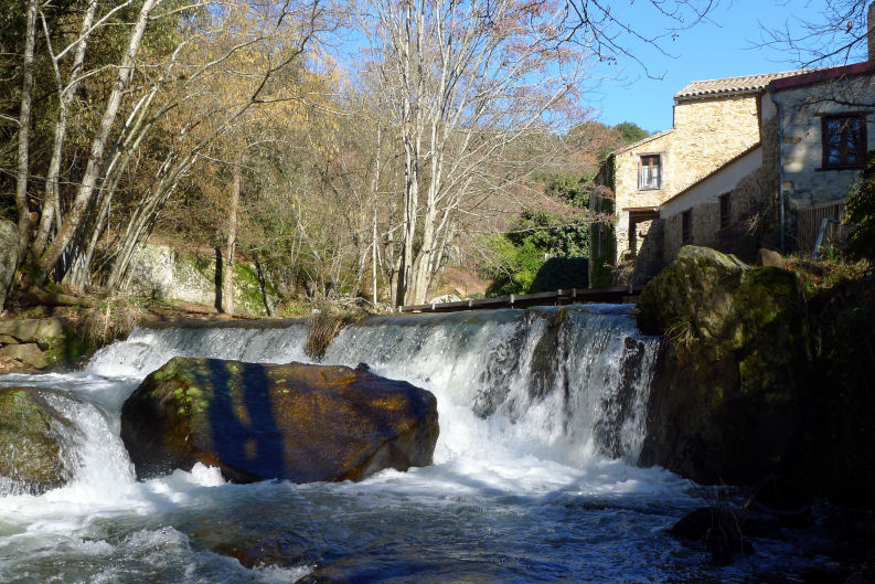 La Vitarelle Linguadoca-Rossiglione - Montloué visuel 4/4