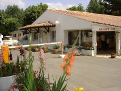 La Yole Paesi della Loira - Saint-Jean-de-Monts visuel 11/11