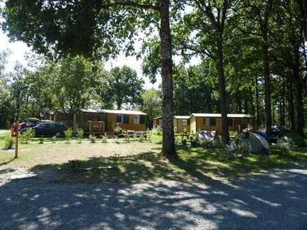 Lac de la Tricherie Paesi della Loira - Mesnard-la-Barotière visuel 6/7