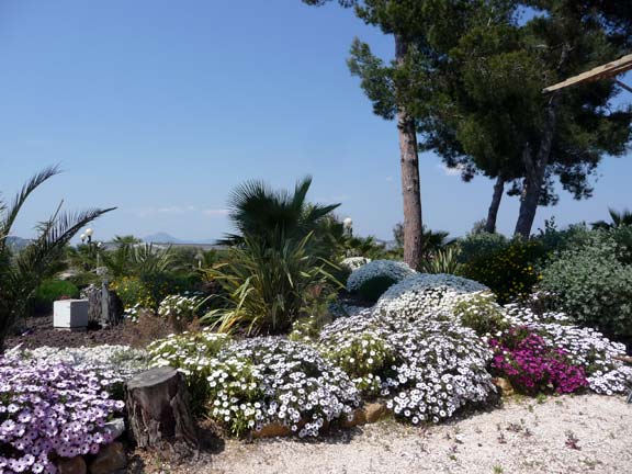 Lac de St-Cyr Poitou-Charentes - Saint-Cyr visuel 14/18 Lac de St-Cyr Poitou-Charentes - Saint-Cyr visuel 14/18