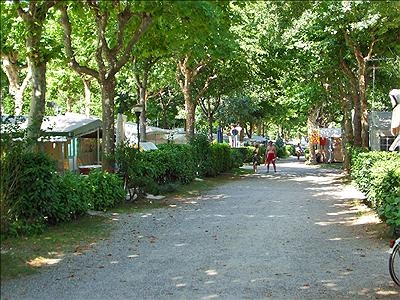 Lago Maggiore Piemonte - Dormelletto visuel 9/10