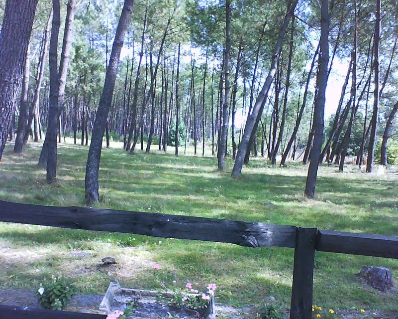 L'Aire Naturelle La Réserve Aquitania - Garrosse visuel 2/4