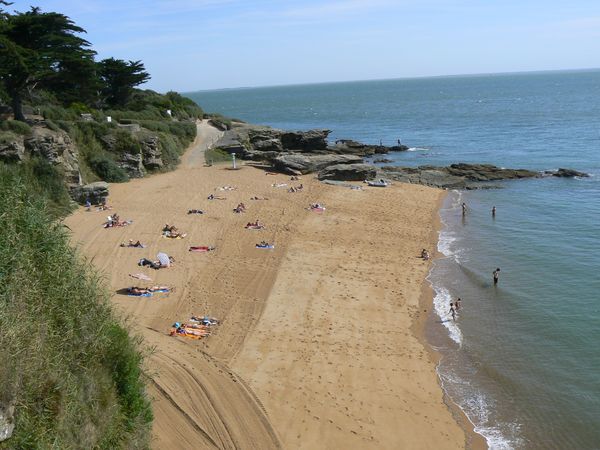 l'Albatros Paesi della Loira - La Plaine-sur-Mer visuel 6/7 l'Albatros Paesi della Loira - La Plaine-sur-Mer visuel 6/7
