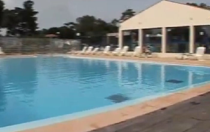 L'Albizia Paesi della Loira - Notre-Dame-de-Monts visuel 6/9