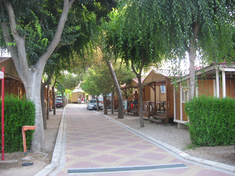 L'Alqueria Costa di Valencia - Gandie visuel 5/10