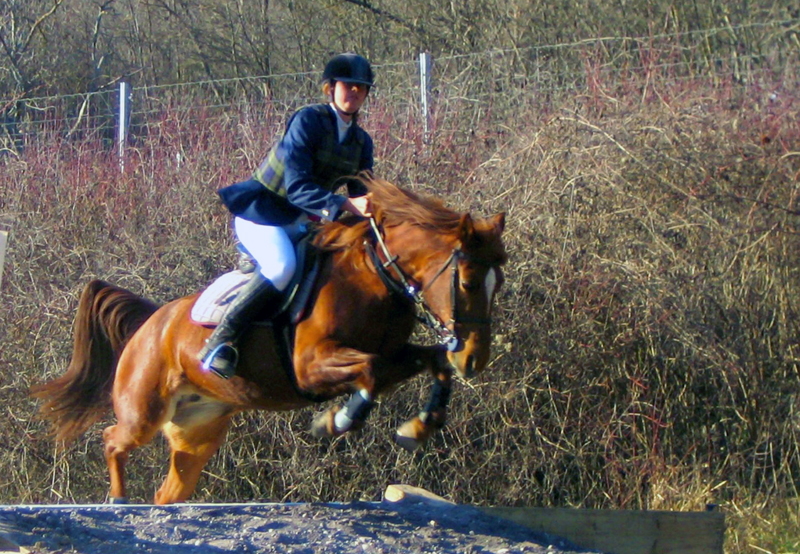 L'Amitié Provenza-Alpi-Costa Azzurra - Touët-sur-Var visuel 3/7