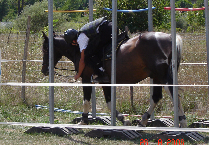 L'Amitié Provenza-Alpi-Costa Azzurra - Touët-sur-Var visuel 7/7
