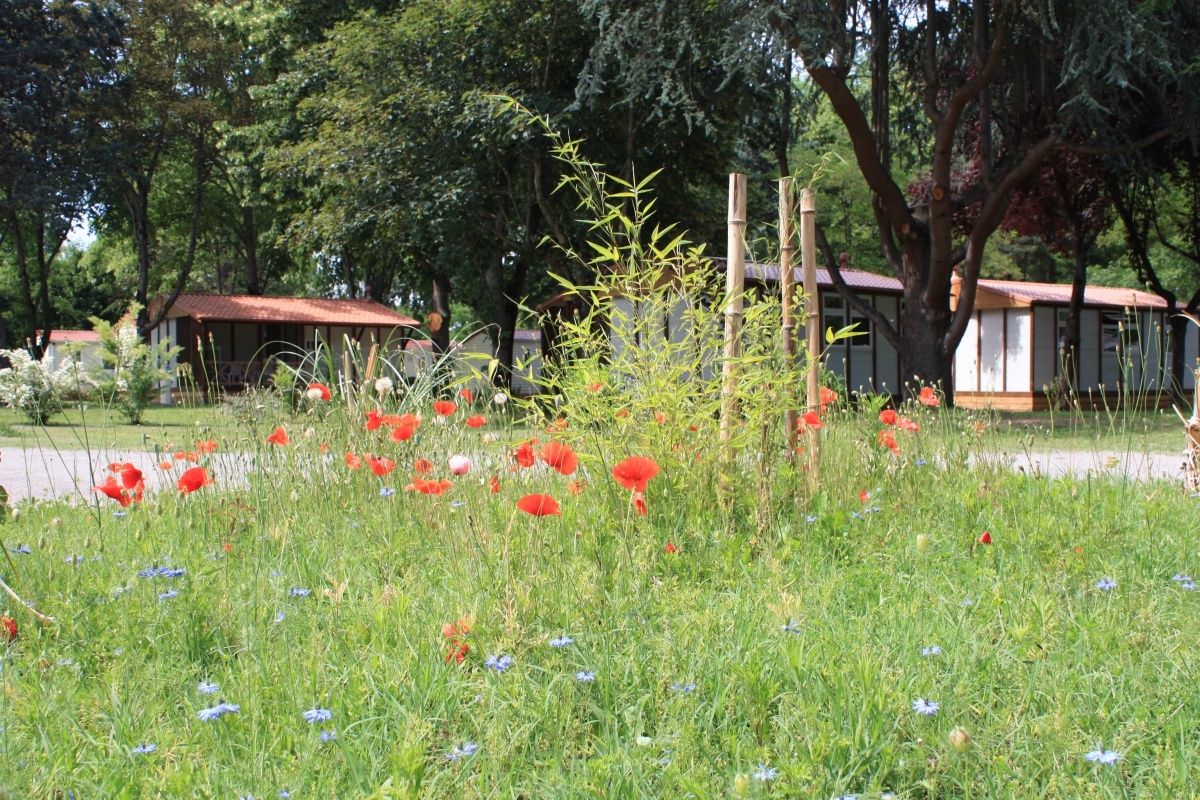 L'Apamée Midi-Pirenei - Pamiers visuel 8/9 L'Apamée Midi-Pirenei - Pamiers visuel 8/9