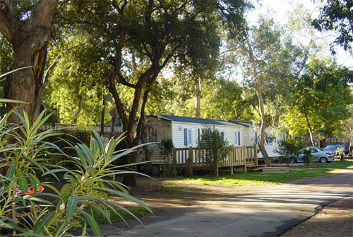 L'Argentière Provenza-Alpi-Costa Azzurra - Mandelieu-la-Napoule visuel 2/2