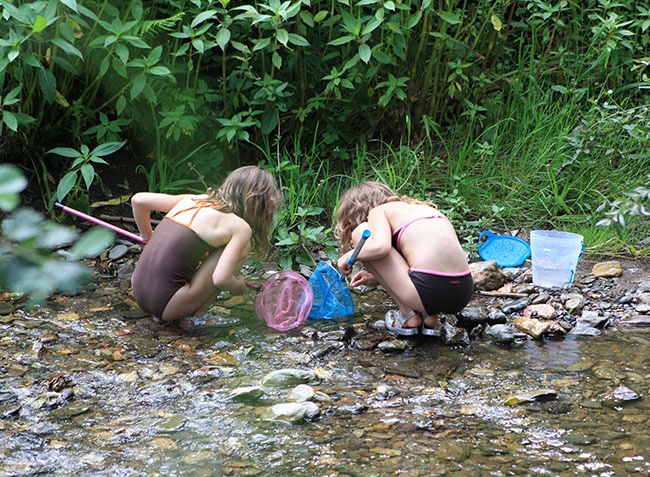 L'Arize Midi-Pirenei - La Bastide-de-Sérou visuel 4/10