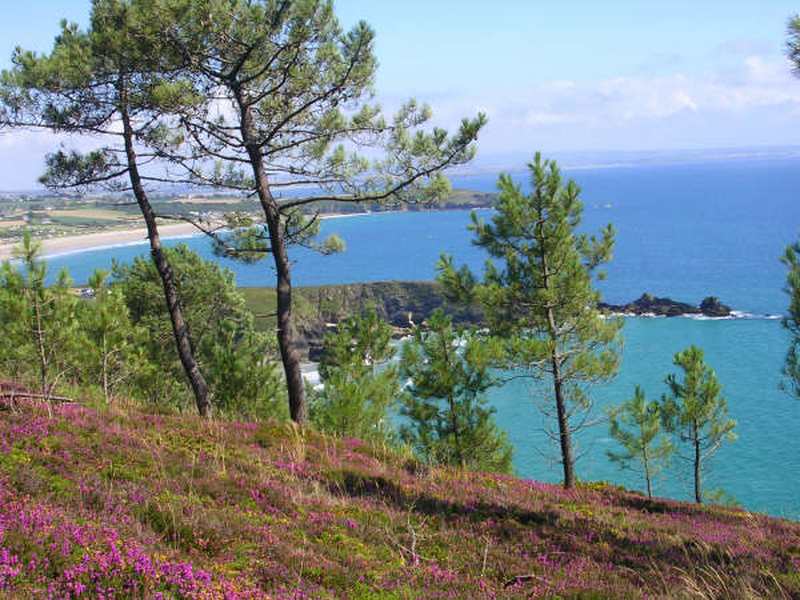 L'Armorique Bretagna - Telgruc-sur-Mer visuel 5/10
