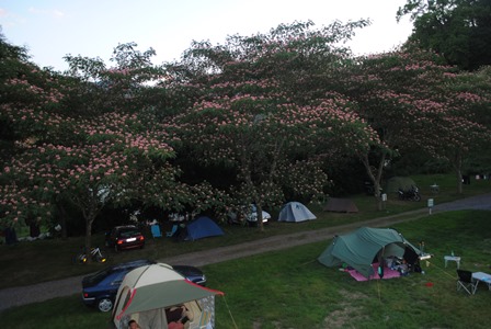 L'Arrouach Midi-Pirenei - Lourdes visuel 5/9 L'Arrouach Midi-Pirenei - Lourdes visuel 5/9
