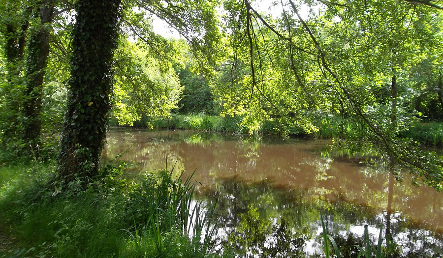le Beauchêne Paesi della Loira - Avrillé visuel 5/18 le Beauchêne Paesi della Loira - Avrillé visuel 5/18