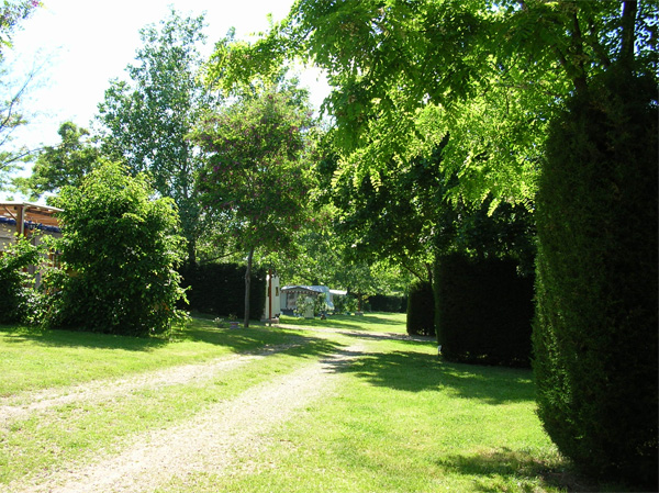 Le Bas Larin Rodano-Alpi - Félines visuel 6/10