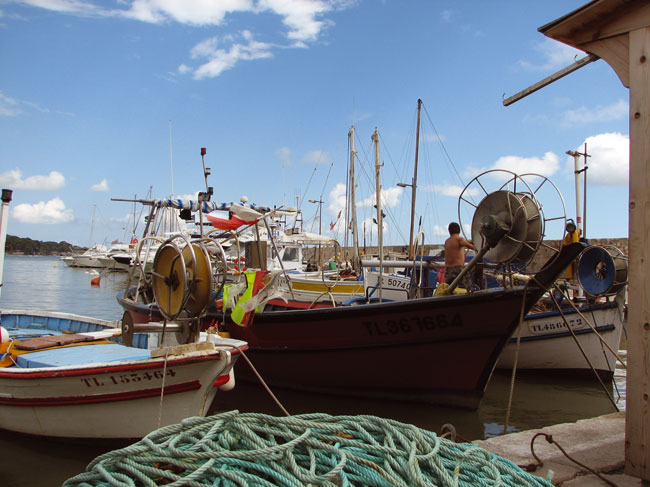 Le Beau Vezé Provenza-Alpi-Costa Azzurra - Carqueiranne visuel 4/10