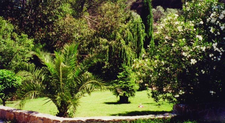 Le Beau Vezé Provenza-Alpi-Costa Azzurra - Carqueiranne visuel 6/10