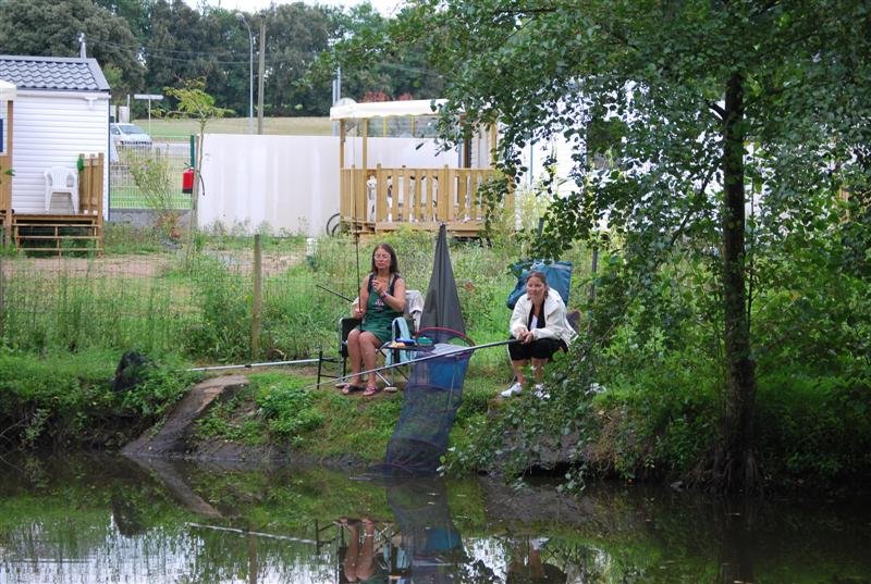 le Beauchêne Paesi della Loira - Avrillé visuel 12/18 le Beauchêne Paesi della Loira - Avrillé visuel 12/18