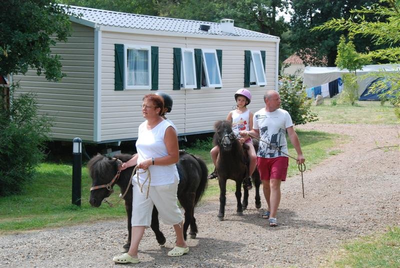le Beauchêne Paesi della Loira - Avrillé visuel 13/18 le Beauchêne Paesi della Loira - Avrillé visuel 13/18