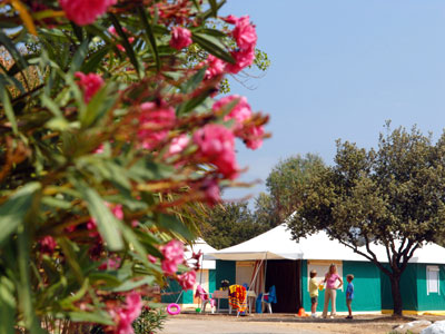 Le Belgodère Corsica - Belgodère visuel 5/9