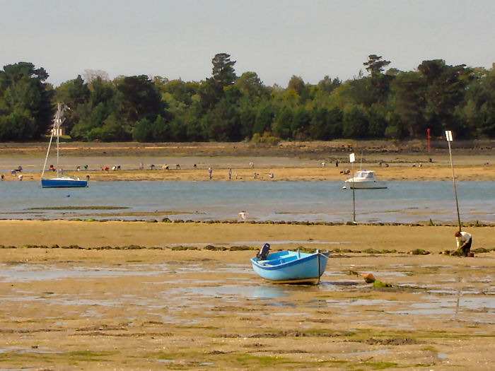 Le Bois d'Amour Bretagna - L'île-Tudy visuel 5/5 Le Bois d'Amour Bretagna - L'île-Tudy visuel 5/5
