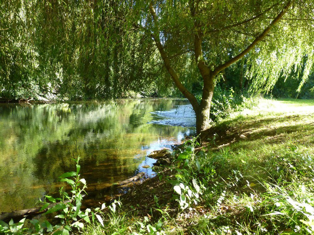 Le Bois de Coderc Aquitania - Antonne-et-Trigonant visuel 2/7 Le Bois de Coderc Aquitania - Antonne-et-Trigonant visuel 2/7