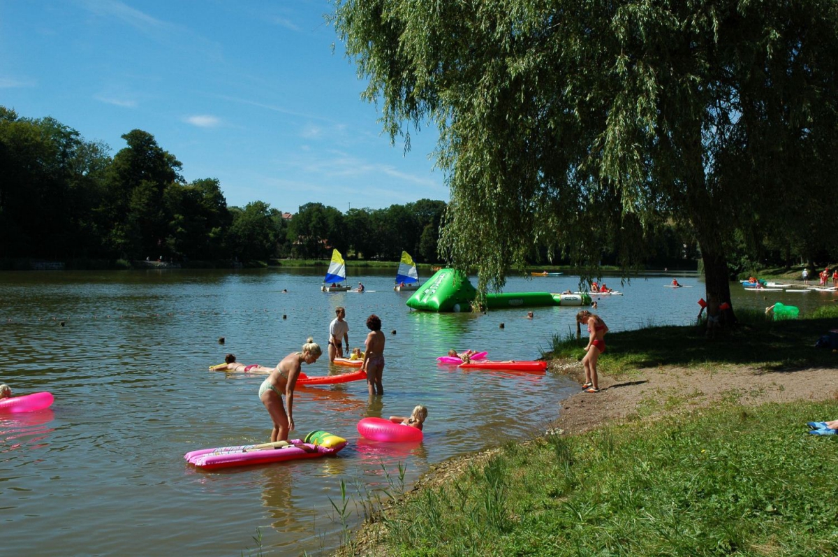 Le Bois de Reveuge Franca Contea - Huanne-Montmartin visuel 5/10