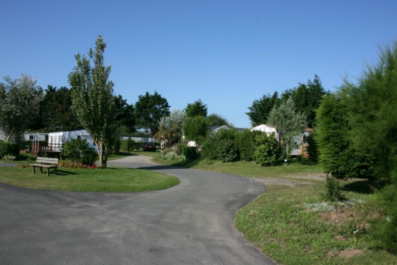 le Bois des Pins Piccardia - Cayeux-sur-Mer visuel 2/10 le Bois des Pins Piccardia - Cayeux-sur-Mer visuel 2/10