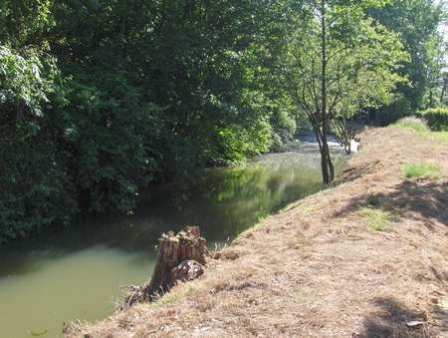Le Bois Fleuri Centro-Valle della Loira - Illiers Combray visuel 5/10