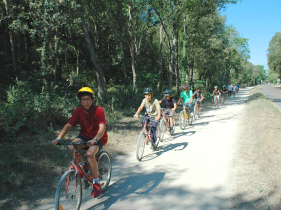 Le Bois Soleil Paesi della Loira - Olonne-sur-Mer visuel 6/15