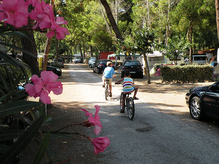 Le Bosquet Linguadoca-Rossiglione - Canet-en-Roussillon visuel 3/3