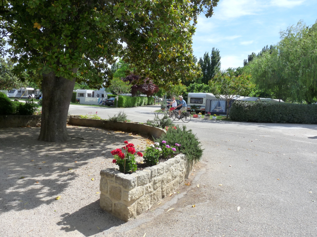 Le Brégoux Provenza-Alpi-Costa Azzurra - Aubignan visuel 3/4 Le Brégoux Provenza-Alpi-Costa Azzurra - Aubignan visuel 3/4