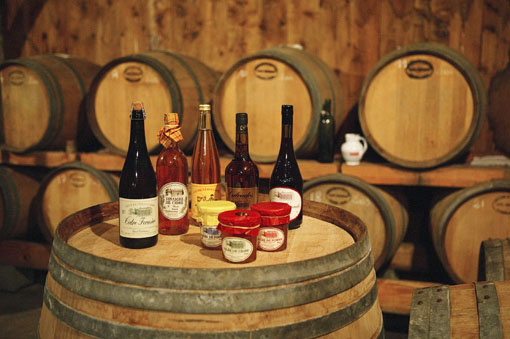 Le Brévedent Bassa Normandia - Le Brévedent visuel 10/12