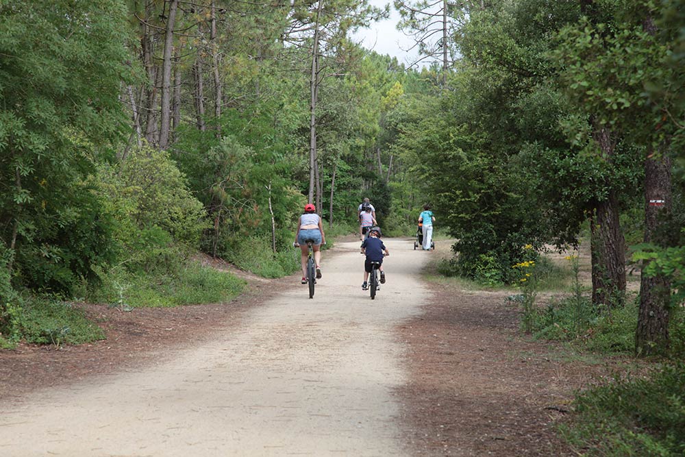 Le California Paesi della Loira - Saint-Jean-de-Monts visuel 12/18