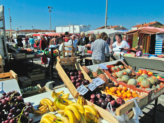 Le Calypso Linguadoca-Rossiglione - Torreilles visuel 6/11
