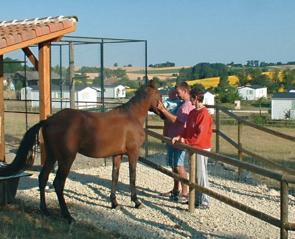 Le Camp de Florence Midi-Pirenei - La Romieu visuel 5/10 Le Camp de Florence Midi-Pirenei - La Romieu visuel 5/10
