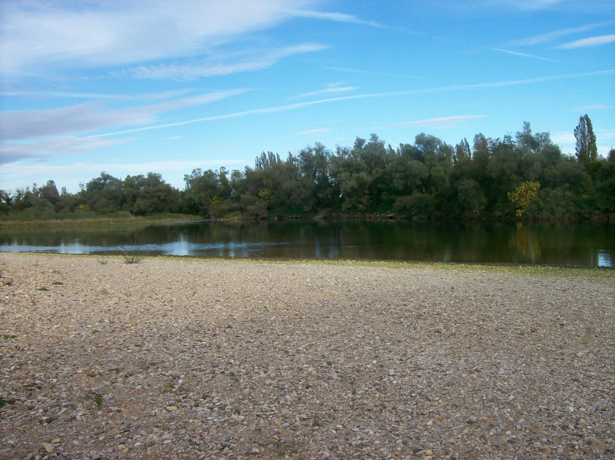 Le Canoë Franca Contea - Chaussin visuel 4/4 Le Canoë Franca Contea - Chaussin visuel 4/4