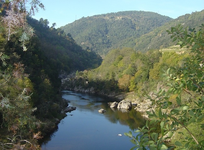 Coeur d'Ardèche Rodano-Alpi - Saint-Vincent-de-Durfort visuel 5/8