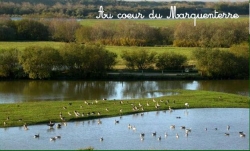 Le Champ Neuf Piccardia - Saint-Quentin-en-Tourmont visuel 8/10 Le Champ Neuf Piccardia - Saint-Quentin-en-Tourmont visuel 8/10