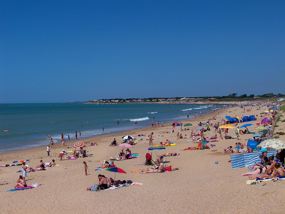 Le Chaponnet Paesi della Loira - Brem sur Mer visuel 6/8