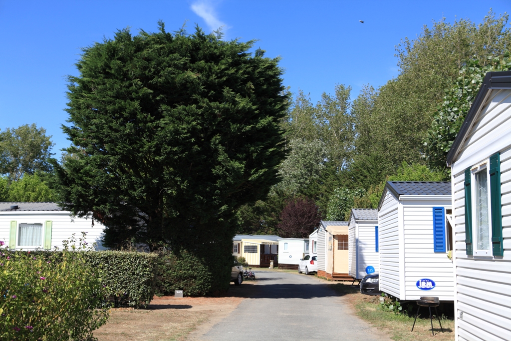 Le Château Paesi della Loira - Saint-Hilaire-de-Riez visuel 10/11