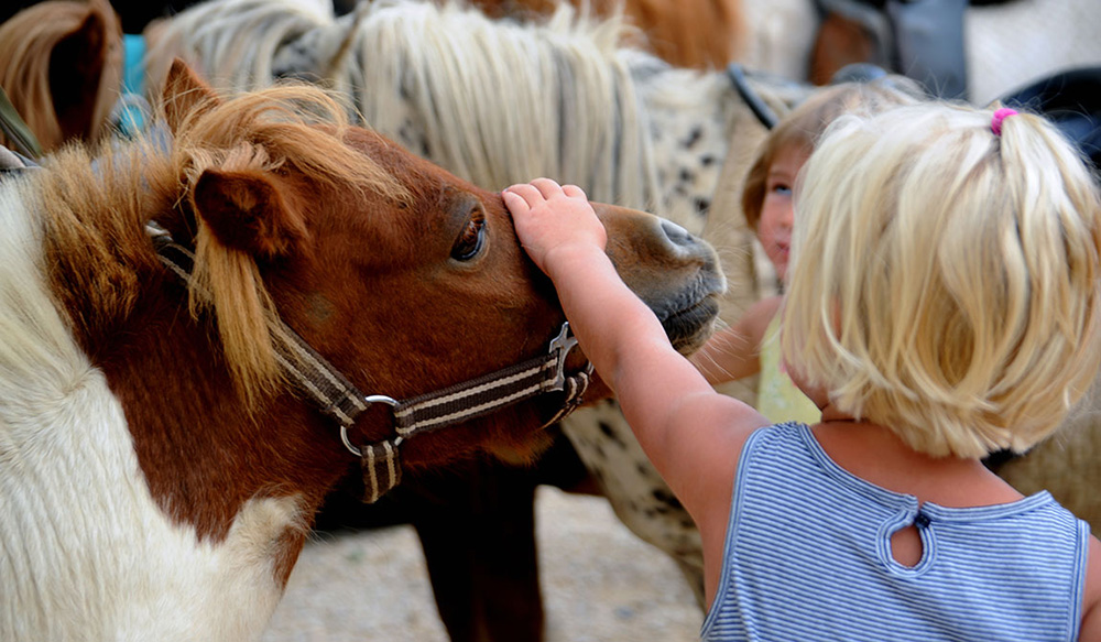 Le Château de Galaure Rodano-Alpi - Châteauneuf-de-Galaure visuel 14/14