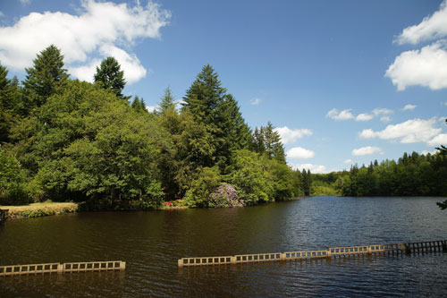 Le Château de Leychoisier Limosino - Bonnac-la-Côte visuel 5/10
