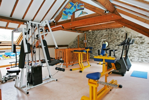 Le Château de Rochetaillée Rodano-Alpi - Le Bourg-d'Oisans visuel 5/11