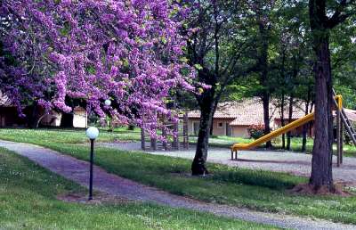 Le Château de Termes Midi-Pirenei - Saint-Denis-lès-Martel visuel 3/8 Le Château de Termes Midi-Pirenei - Saint-Denis-lès-Martel visuel 3/8