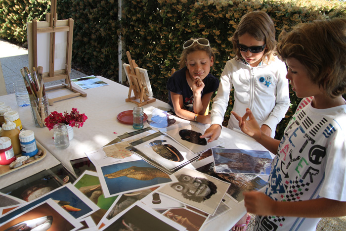 LE CHATEAU DE TREAMBERT EST Paesi della Loira - Mesquer visuel 5/5