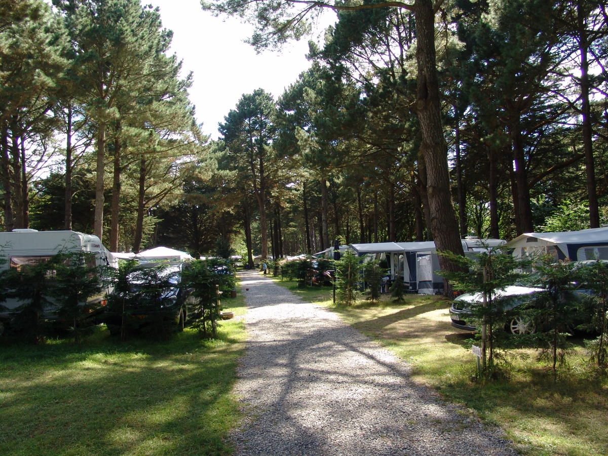 Le Château du Petit Bois Paesi della Loira - Mesquer visuel 2/4