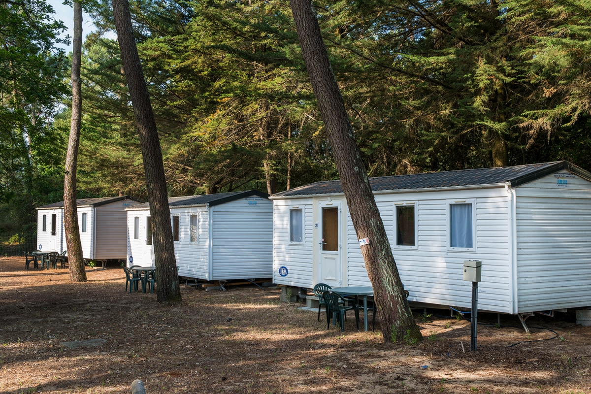 Le Chenal Paesi della Loira - Saint-Jean-de-Monts visuel 3/9