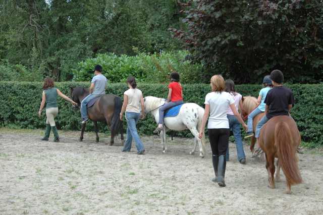 Le Chenal Paesi della Loira - Saint-Jean-de-Monts visuel 8/9